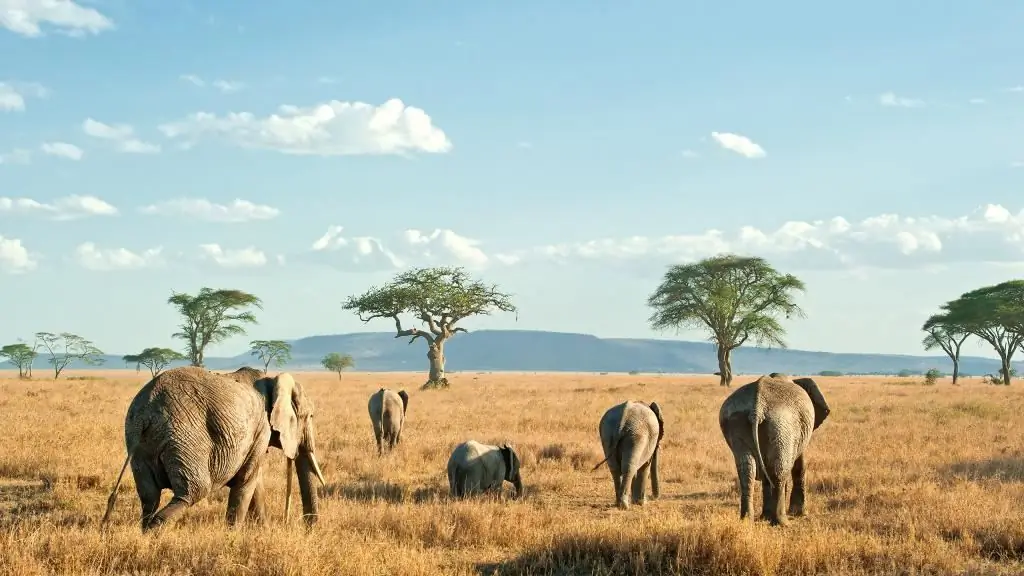 naturaleza de tanzania