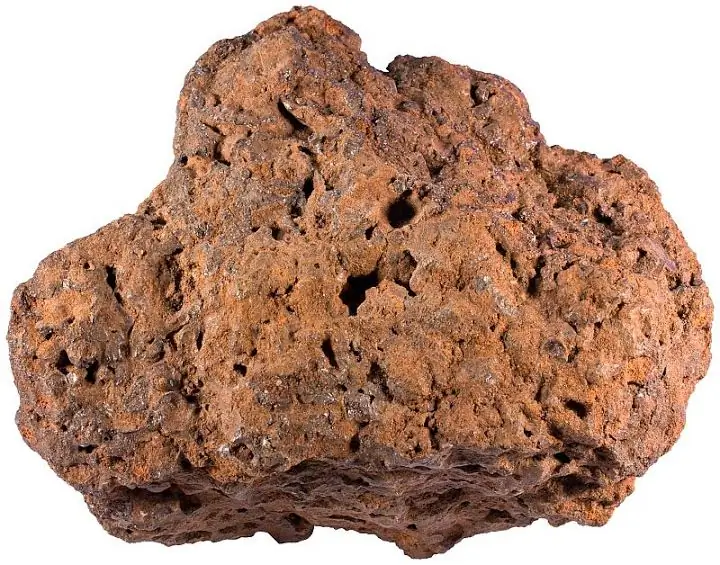 brown iron ore of organic origin