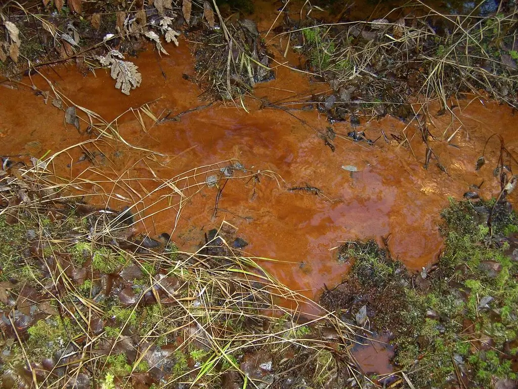 Minerai des marais : composition, gisements, caractéristiques minières