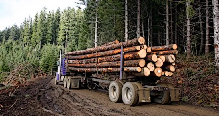 Ekonomiczna wycena zasobów naturalnych: koncepcja, cele i podstawowe zasady