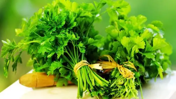 Parsley ለወንዶች ምን ይጠቅማል - መዓዛ ያለው ተክል ሚስጥር