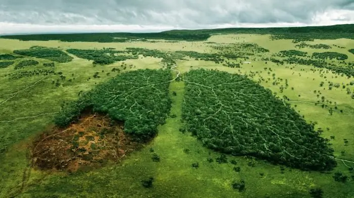 miljøproblemer på planetlisten