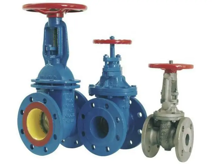 flange gate valve DN 100