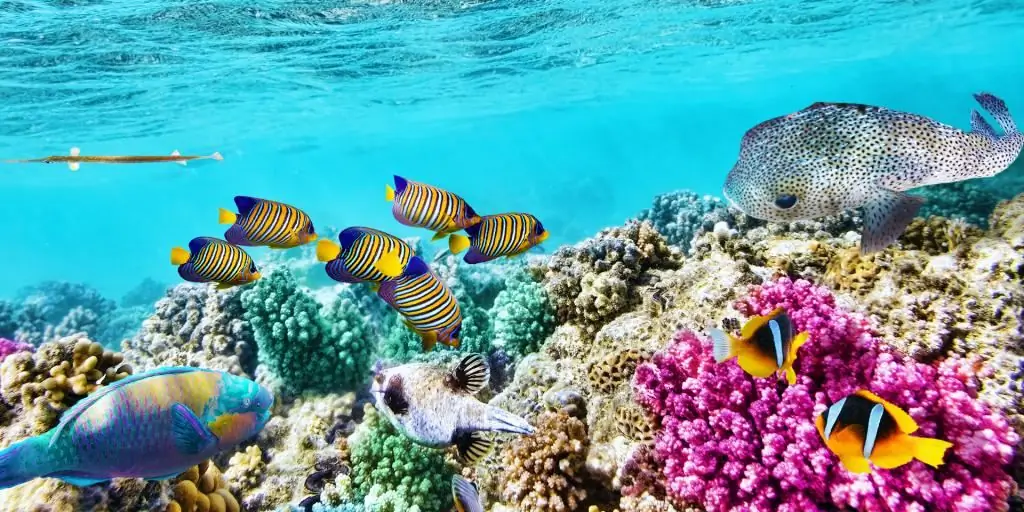 Great Barrier Reef